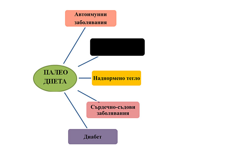 ползи от палео диетата