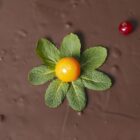 Боровинкова кето торта с желе - снимка 4