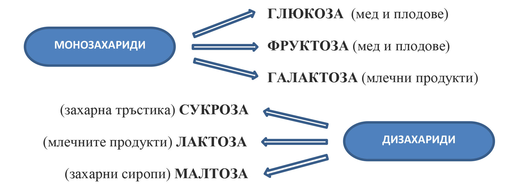 видове захар - инфографика