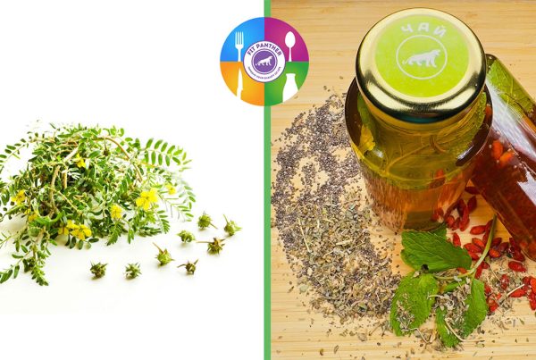 трибулус и чай бабини зъби от кухня Fit Panther - снимка за споделяне