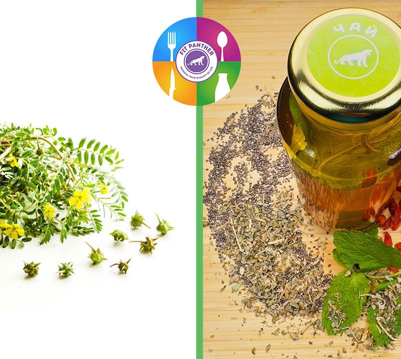 трибулус и чай бабини зъби от кухня Fit Panther - снимка за споделяне