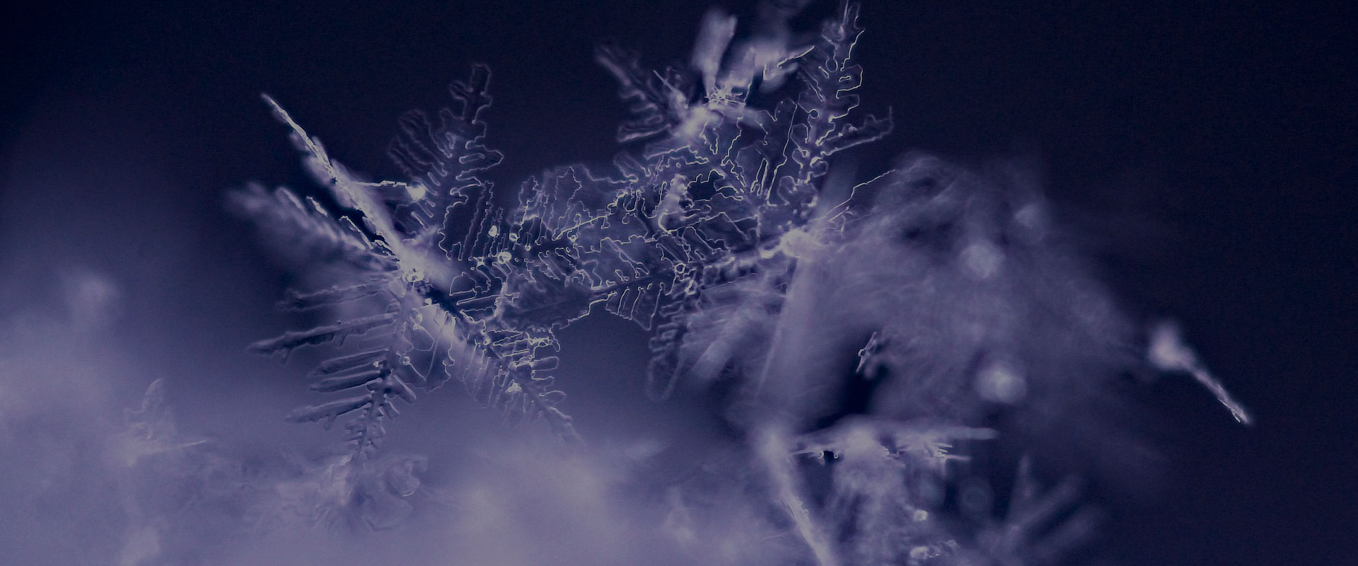 Структурираната замразена вода – енергийният начин да заредим тялото си положително и здравословно