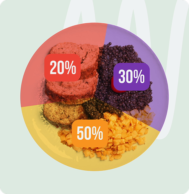 съотношение на белтъчини въглехидрати и мазнини в стандарт меню без закуска на кухня fit panther