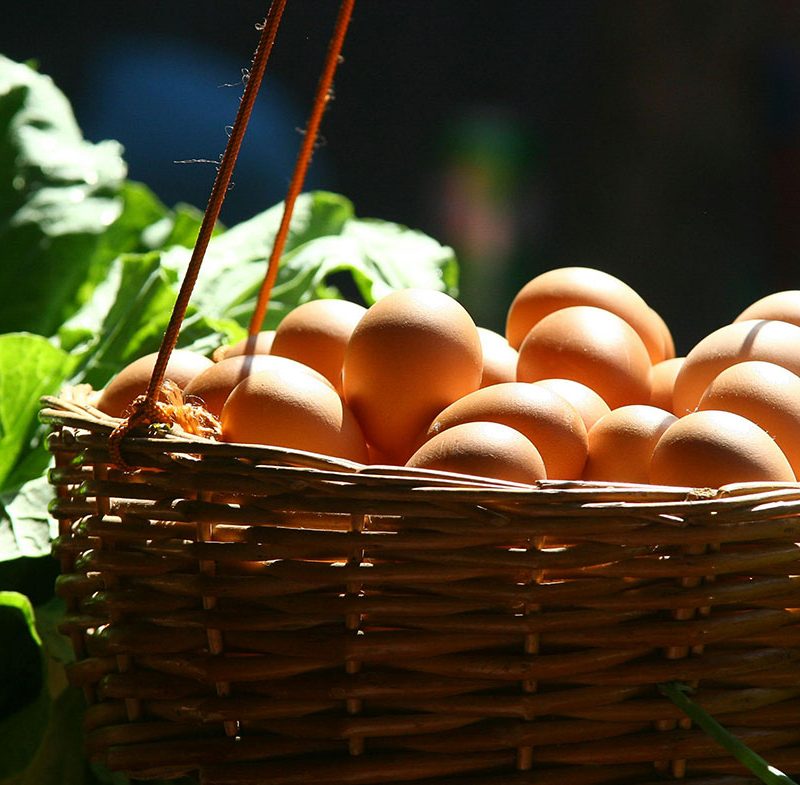 кошница яйца за яйчена диета