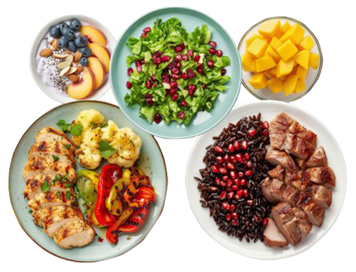 fibro-menu-fit-panther-official